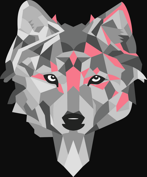 braukollektiv Zaungast Craft Bier